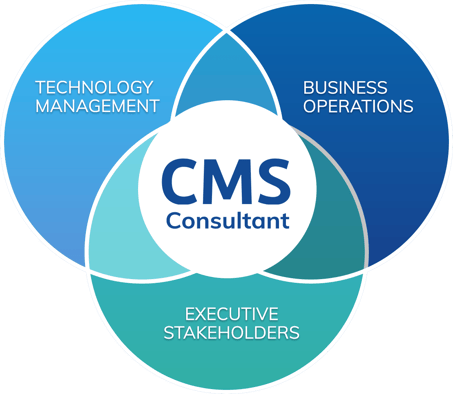 Venn diagram illustrates how a Channel Media consultant is centered within technology management, business operations and executive stakeholders.