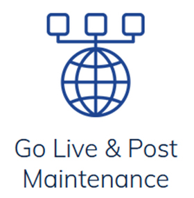 go live@1.25x